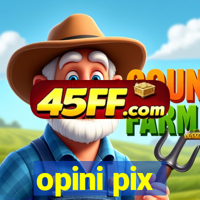 opini pix